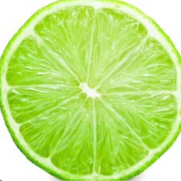 the_salty_lime